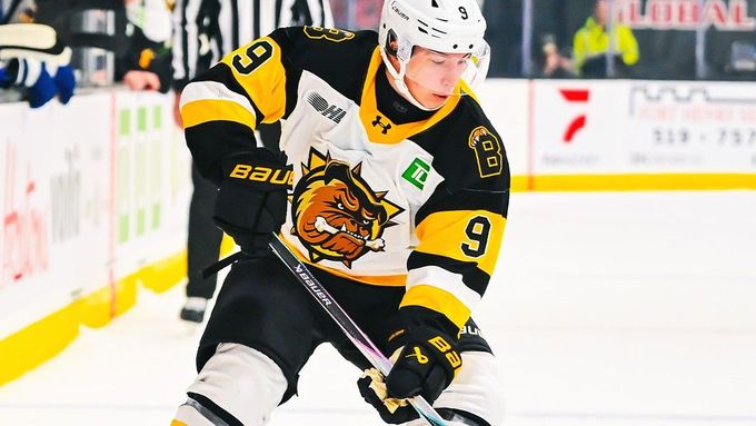 Adam Benák v dresu týmu Brantford Bulldogs