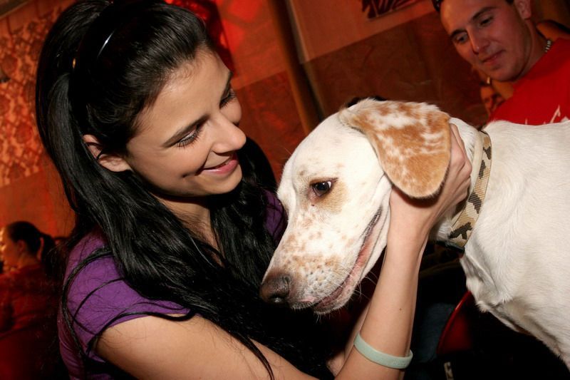 Fischerová, cin city yellow horse