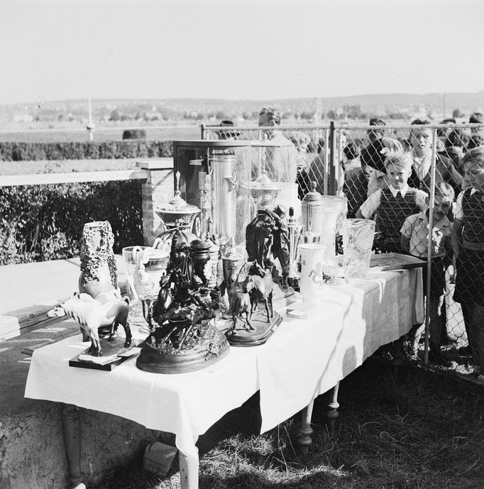 Ceny určené pro vítěze dostihů v Chuchli. Záběr z roku 1959.