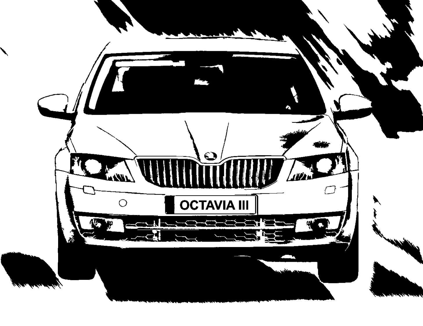 Vision D a Škoda Octavia