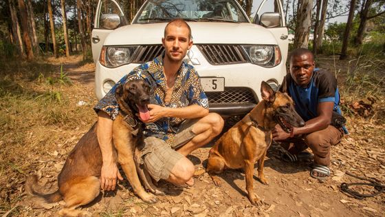 Obrazem: Dokumentaristé natáčeli snímek o záchraně pralesních slonů, jeden zemřel při autonehodě