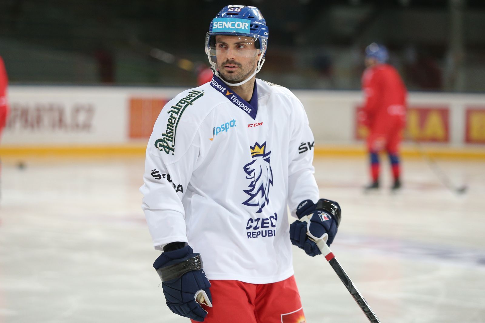 hokej, reprezentace před Karjala Cupem 2018, Michal Řepík