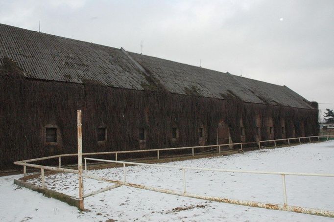 Proslulý hřebčín v Mimoni na Českolipsku jde do dražby.