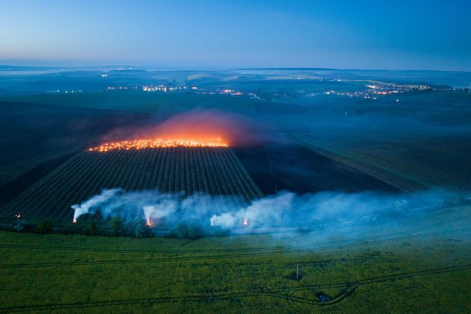 Radek Severa: ohně na vinicích, Jižní Morava, 2024