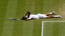 Djokovič vs. Del Potro, semifinále Wimbledonu 2013.