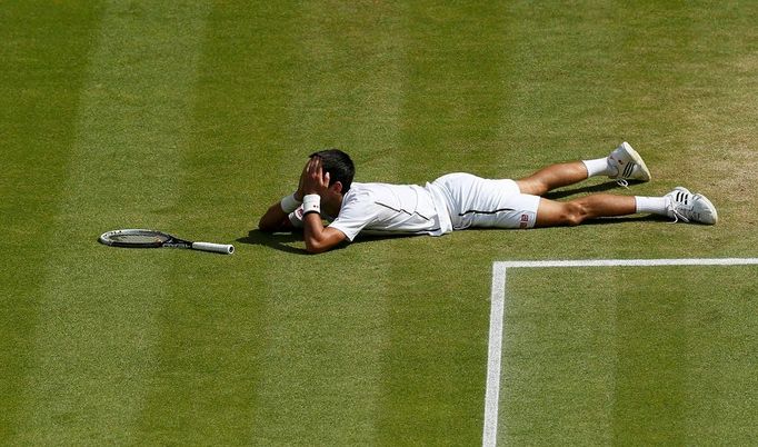 Djokovič vs. Del Potro, semifinále Wimbledonu 2013.