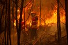 Portugalsko v ohnivém pekle: 3000 hasičů bojuje s 90 požáry, situaci komplikují vysoké teploty