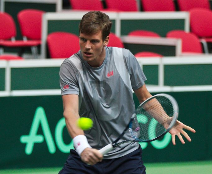 Davis Cup, Tomáš Berdych