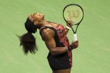 Serena Williamsová ale převzala suverénně žezlo ženské tenisové jedničky, na nejvyšším stupínku žebříčku ATP strávila už neuvěřitelných 256 týdnů.