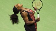 Serena Williamsová ale převzala suverénně žezlo ženské tenisové jedničky, na nejvyšším stupínku žebříčku ATP strávila už neuvěřitelných 256 týdnů.