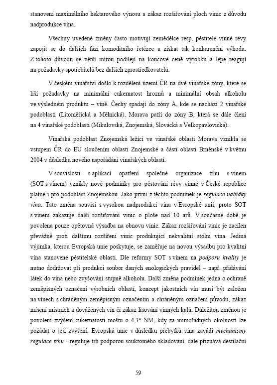 Bakalářská práce - Ladislav Skopal - 59