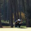 golf, The Masters, Dustin Johnson