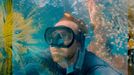 Vítězné fotografie ze soutěže Underwater Photographer of the Year 2023