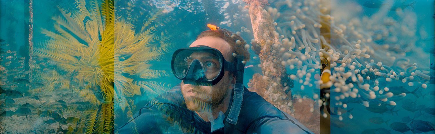 Vítězné fotografie ze soutěže Underwater Photographer of the Year 2023