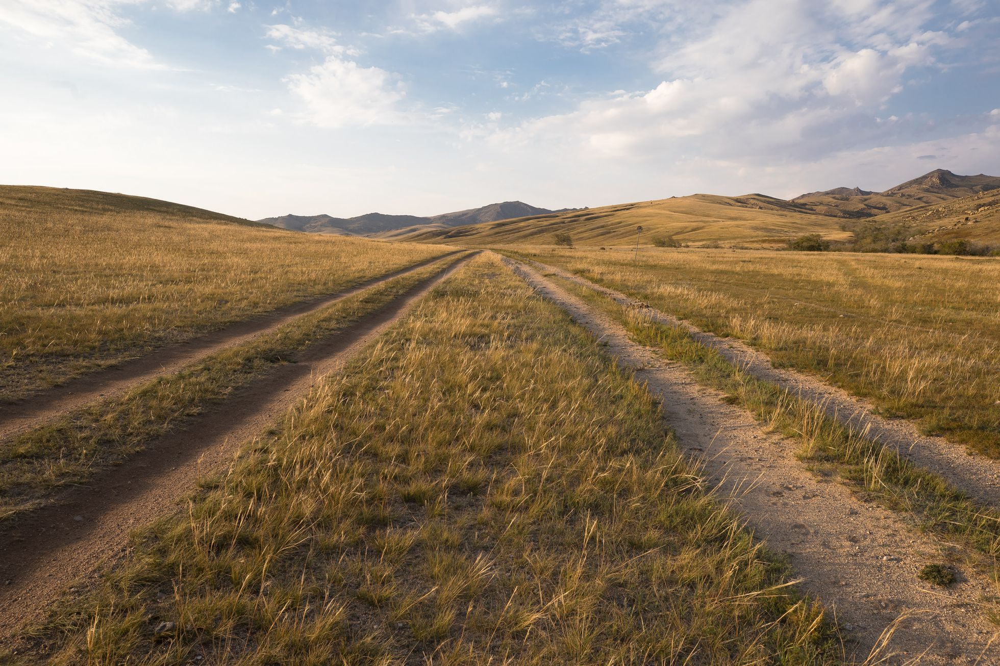 Mongolsko - kůň Převalského, Národní park Chustaj, koně, pláně, stepi