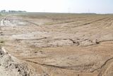 Eroze půdy na poli osetém řepkou na Žďársku. Pozemek připomíná poušť.