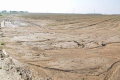 Eroze zasáhla už polovinu zemědělské půdy v Česku. Vláda chce Dešťovku i pro zahrádkáře