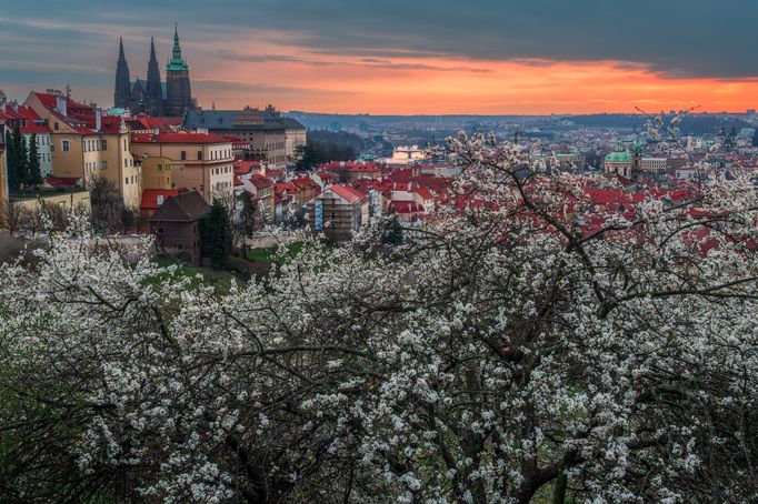 Krása jarní Prahy na fotografiích Richarda Horáka (vítěz soutěže Praha fotografická 2023)