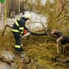 Bouřka lámala stromy a trhala střechy