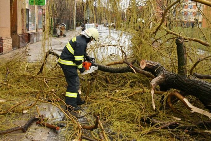 Hasiči likvidují spadlý strom