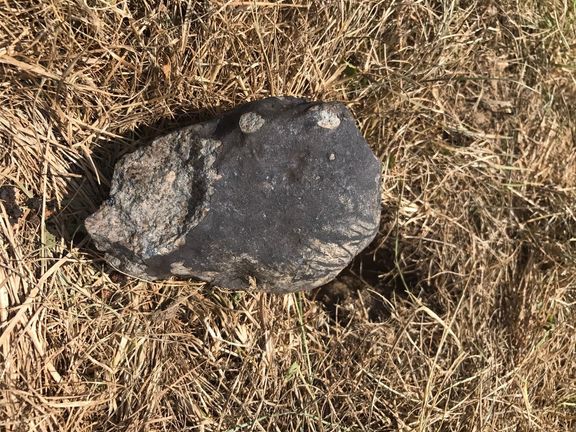 Největší meteorit Renchen o hmotnosti 955 gramů, nalezený 31. července 2018.