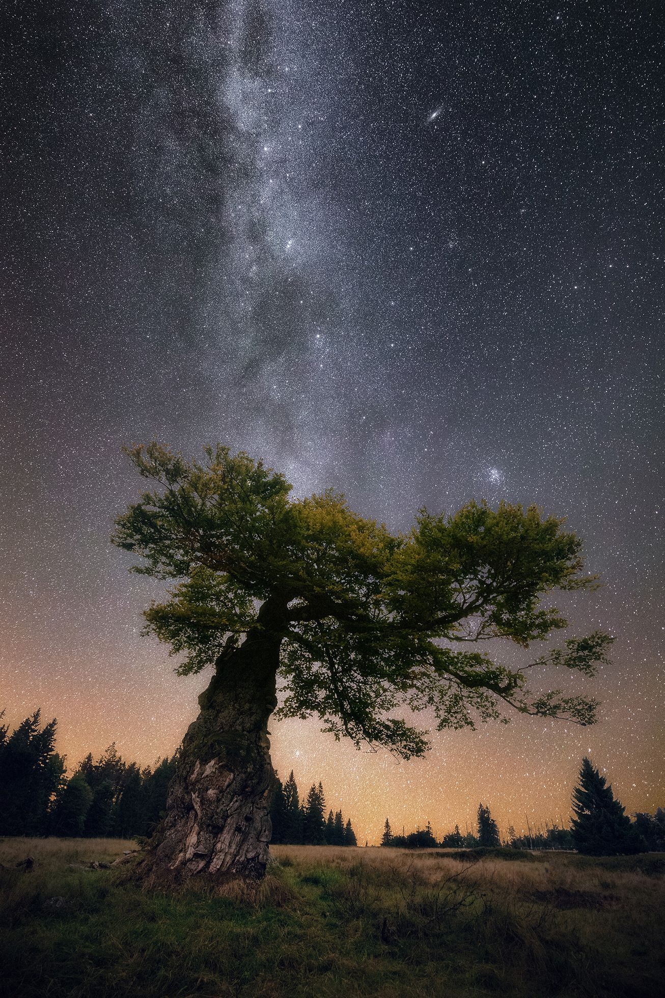 Nominace na Czech Nature Photo 2021