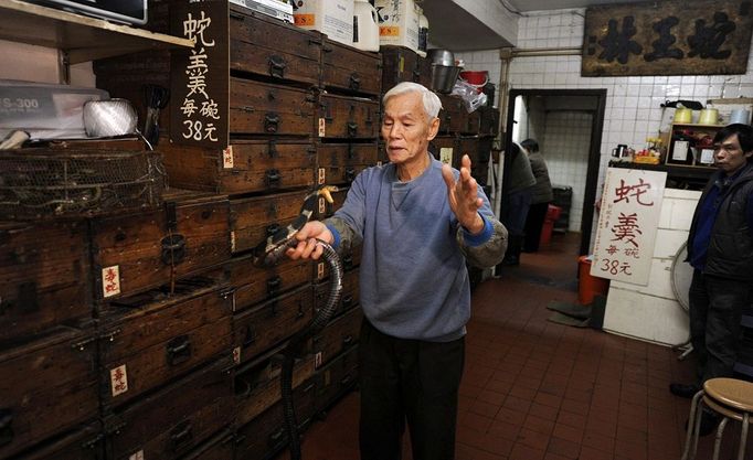 TO GO WITH Lifestyle-medicine-health,FEATURE by Joyce Woo This photo taken on January 31, 2011 shows "Big Snake Mak" -- otherwise known as serpent salesman Mak Tai-kwong, holding a snake at the She Wong Lam snake soup shop in Hong Kong. Snake has been used in China for thousands of years to cure a host of ailments -- snake-fermented wine for arthritis, snake genitals for the kidneys and male sex drive, snake gall bladder for bronchitis.