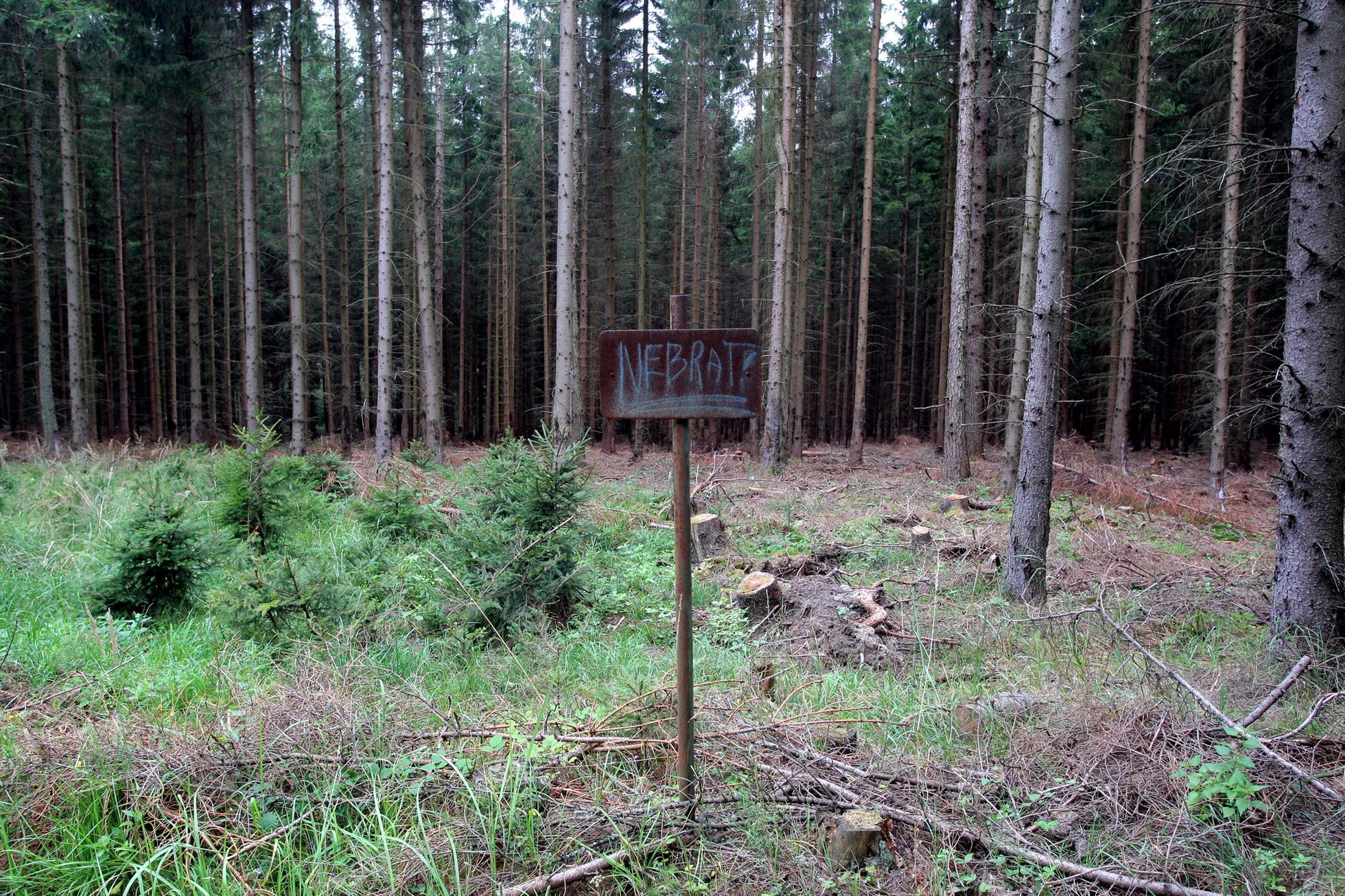 První turistická sezóna v Brdech