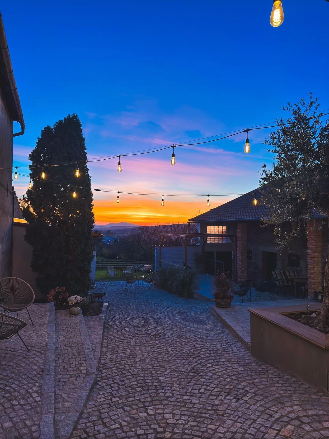 Siesta prosecco Kobylí