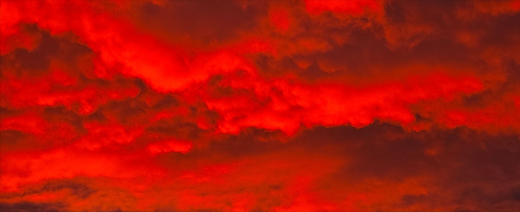 Petr Kozlík: portrétní fotografie mobilním telefonem