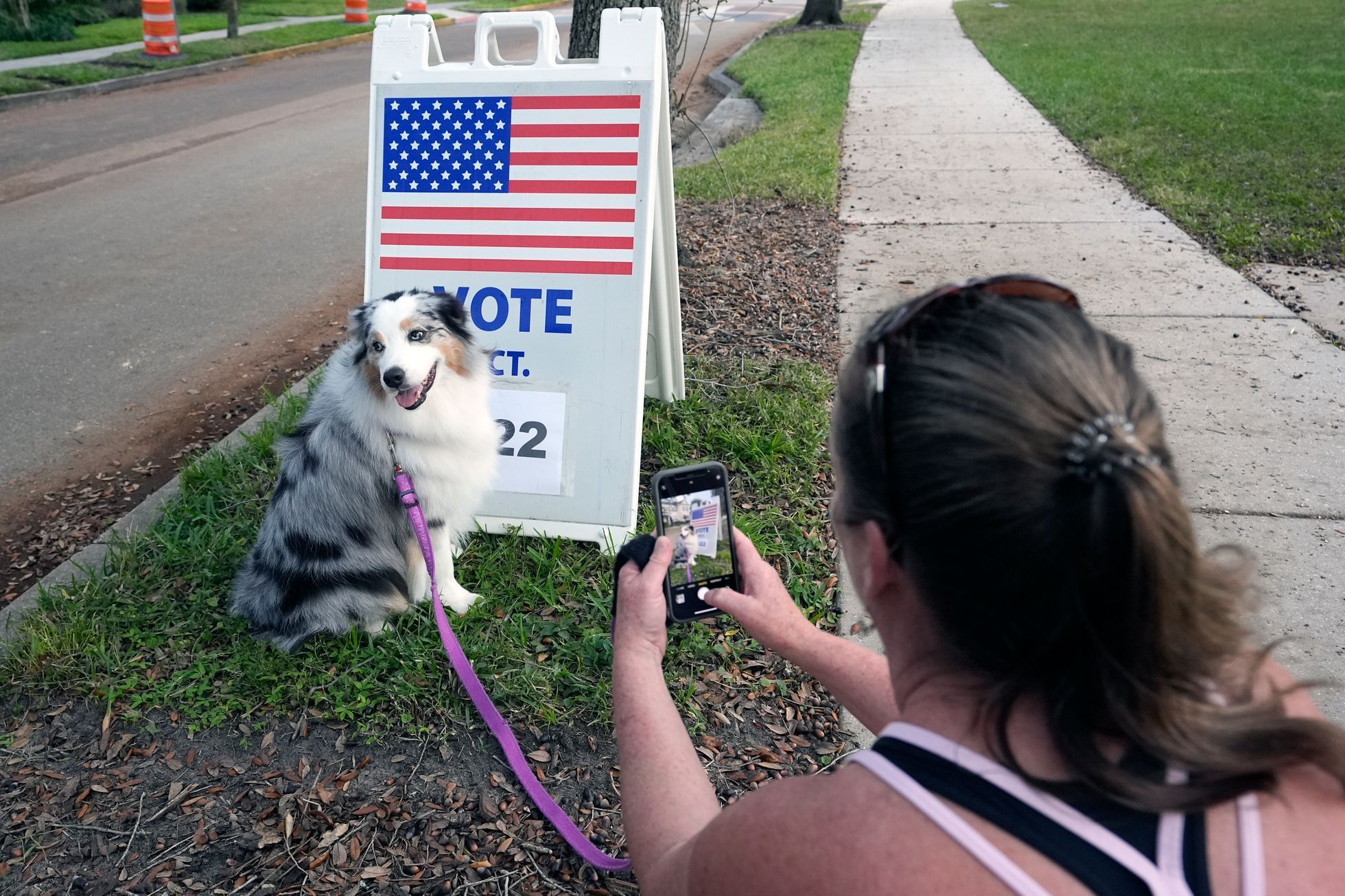 USA, volby, 2024, prezidentské.