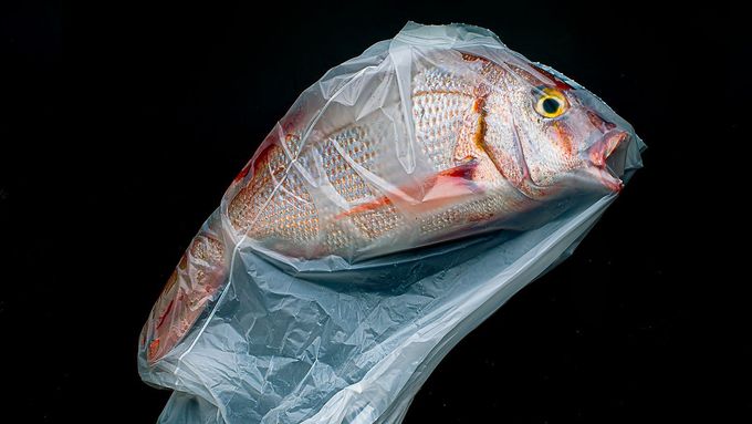 Nejlepší fotografická zátiší: prestižní světovou soutěž vyhrál snímek ryby v plastu