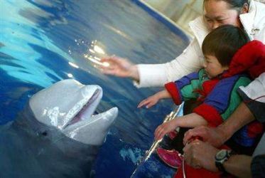 Delfín pomáhá chlapci s autismem