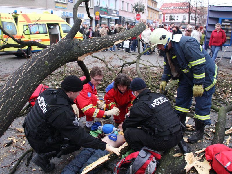 Strom ve Zlíně spadl na lidi