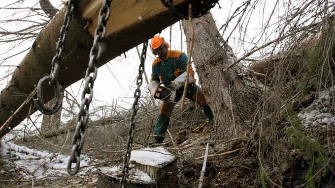 "Pilčík", živnostník s vlastní pilou, si na polomu vydělá asi dvacet pět tisíc.