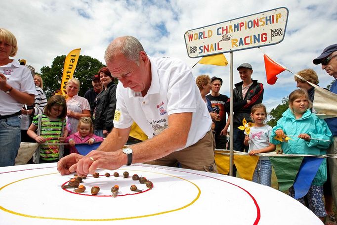 World Snail Racing Championships in Congham, Norfolk, Britain - 18 Jul 2010 2010-07-18 00:00:00 Mandatory Credit: Photo by Geoffrey Robinson / Rex Features ( 1208528b ) Snailmaster Neil Risborough lines up the snails World Snail Racing Championships in Congham, Norfolk, Britain - 18 Jul 2010 More than 200 snails slugged it out at the annual World Snail Racing Championships in a tiny Norfolk village this weekend. The garden snails spent Saturday afternoon sliming over a challenging 13 inch course to win a silver tankard stuffed with lettuce. The quirky competition, which has been running for nearly 40 years, is held in Congham, near King's Lynn in Norfolk and attracts thousands of spectators every year. Although there are a number of imitations, it is the only recognised World Championship. This year saw its oldest ever winner with a snail belonging to 62-year-old Claire Lawrence, from Litcham in Norfolk, coming first. Her snail, named Sidney, crossed the finishing line in 3.41 minutes. "I'm shell shocked my mum has won, as it's the first time she has entered," said her son Harry Lawrence, 21, from Litcham. "She selected Sidney a couple of days ago and she has been training him in our garden and feeding him on a diet of rocket salad." The championships are part of Congham fete and were originally started to help raise money for the 13th century village church. Today it attracts hundreds of entrants of all ages, many whom have spent days training their snails for the big event. "Congham is ideal snail breeding and racing country as they like damp conditions and the village sits in a low-lying area surrounded by ponds," said organiser Hilary Scase. "People love coming along because it is quirky and something different "A lot of the children like to choose their snails a long time in advance and train them. "Surprisngly the snails seem to respond to being talked to and small snails seem to do better as they have smaller shells so they can move mo... For more information visit http://www.rexfeatures.com/stacklink/EPKKVYUIW