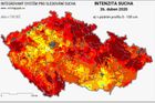 Česko zažívá nejhorší sucho za posledních 500 let, konec je v nedohlednu