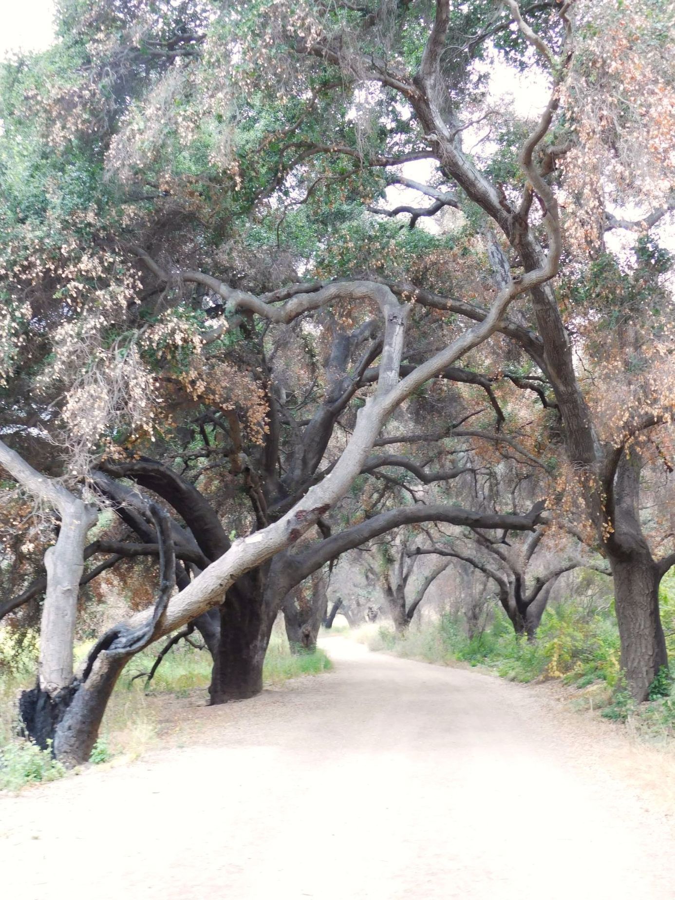 Galerie natáčecí místo MASH