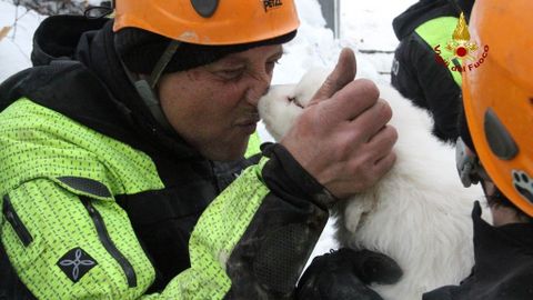 Záchranáři z hotelu zasypaného lavinou vytáhli štěňata, dům dál prohledávají