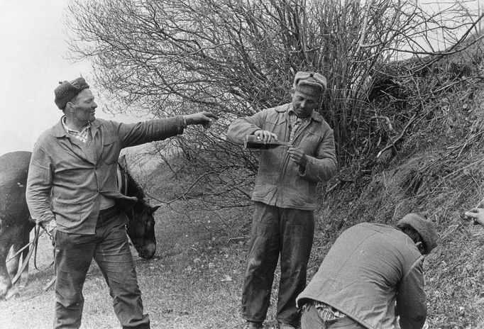 Z cyklu Svátky a slavnosti, Šumiac, 1981