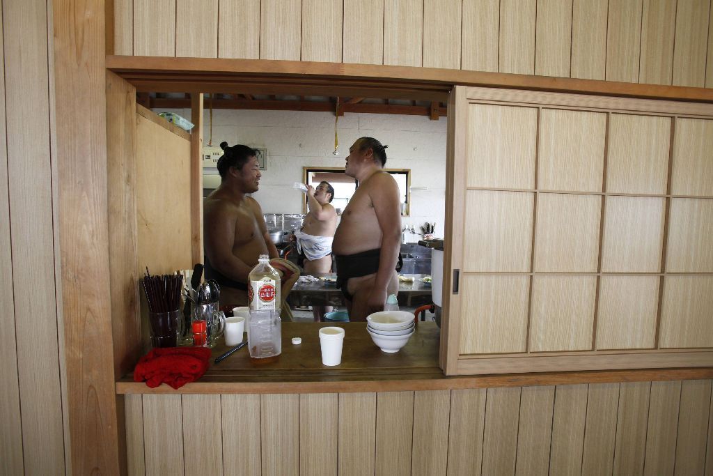 Japonští sumo na "letním táboře"
