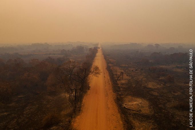 World Press Photo 2021: nejlepší fotkografie přírody a životního prostředí