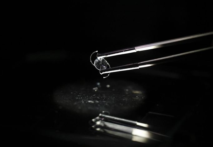 A low-cost acrylic lens, also called intraocular lens, is pictured at the Tilganga Eye Center's laboratory in Kathmandu April 26, 2012. The lenses are produced at the centre's laboratory by workers wearing bio-safe masks, helping bring the cost down to $4 per lens from more than $100 a piece. The centre produces about 350,000 lenses annually and sells them to other nations. Picture taken April 26, 2012. REUTERS/Navesh Chitrakar (NEPAL - Tags: HEALTH SOCIETY POVERTY) Published: Kvě. 2, 2012, 4:19 dop.