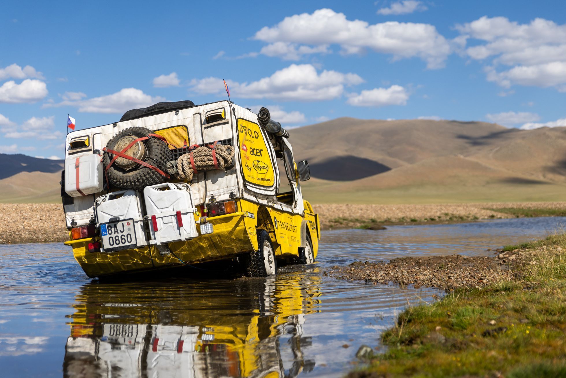 Žlutá žába pluje