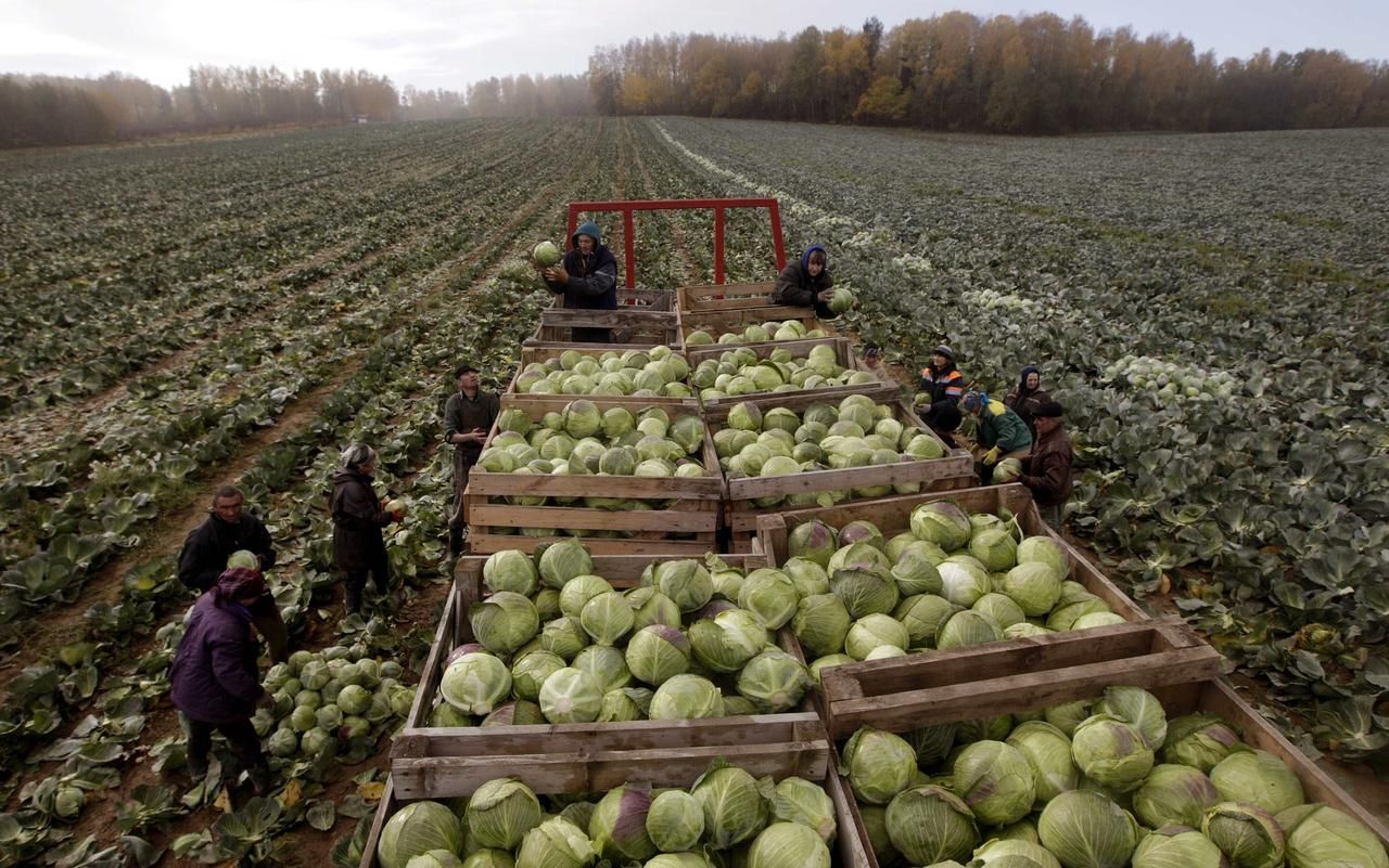 Foto: Krize a barterový obchod
