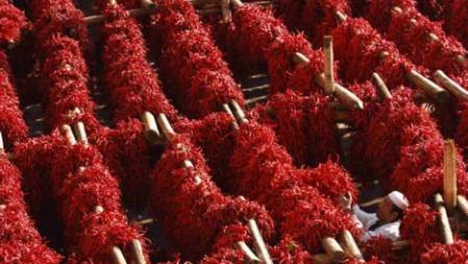 Festival pálivých papriček se každoročně pořádá v čínské provincii Čching-chaj. Chilli zde potkáte na každém kroku.
