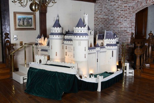 Jakcsonův model disneyovského zámku Šípkové Růženky