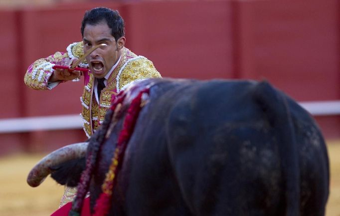 Colombian matador Luis Bolivar prepares to drive a sword into a bull during a bullfight in Seville