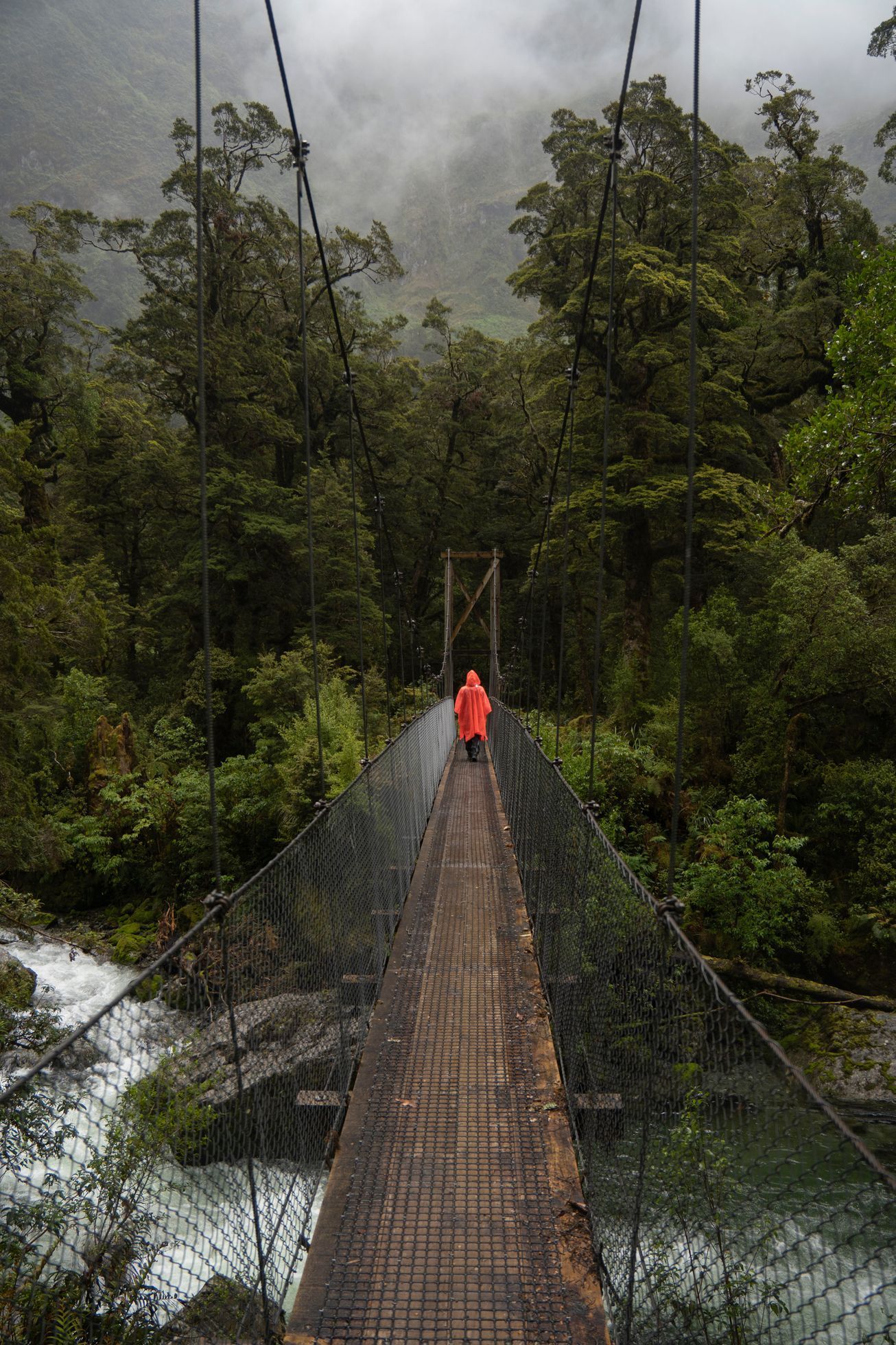 nový zéland cestování