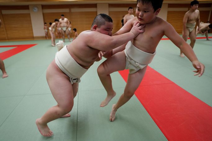 Reuters: mladí zápasníci sumo v Japonsku